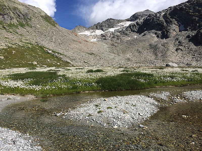 Chalet Sunstar, Grosse Wohnung