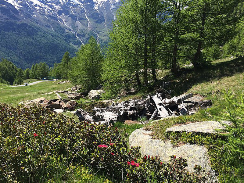 Chalet Sunstar, Grosse Wohnung