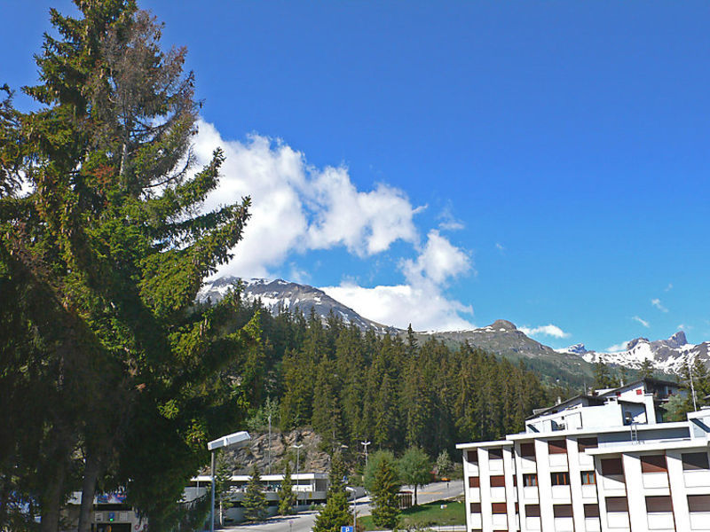 Tsaumiau A