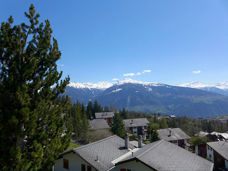 Chalet N°10