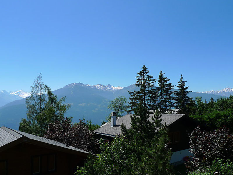Moulinettes N° 8
