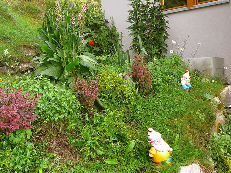 Wohnung 1