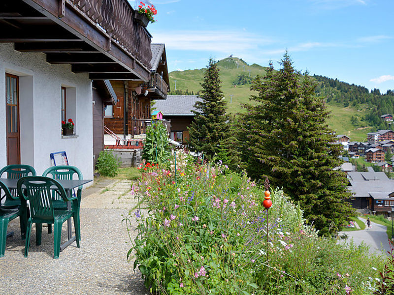Wohnung 1