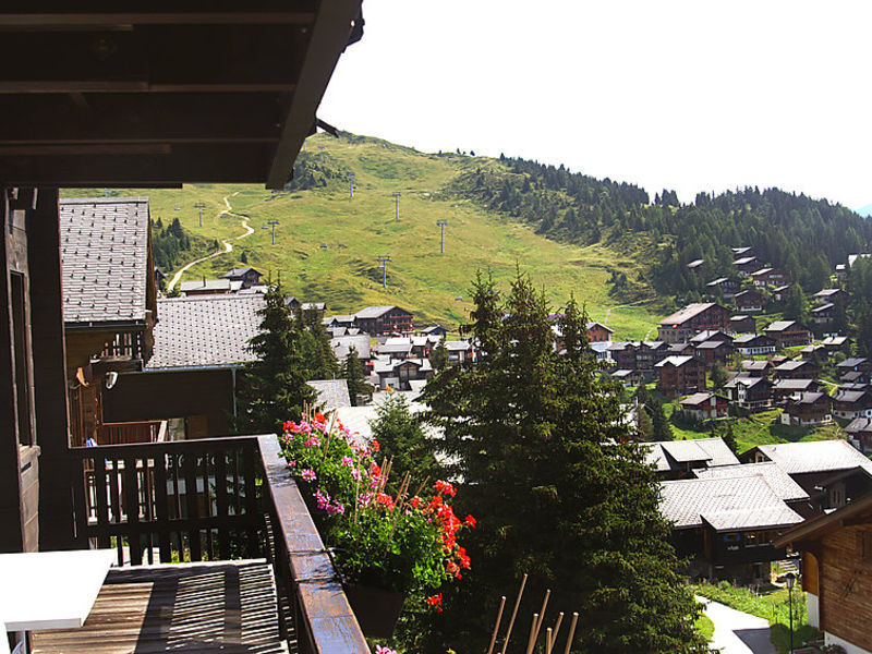 Wohnung 1