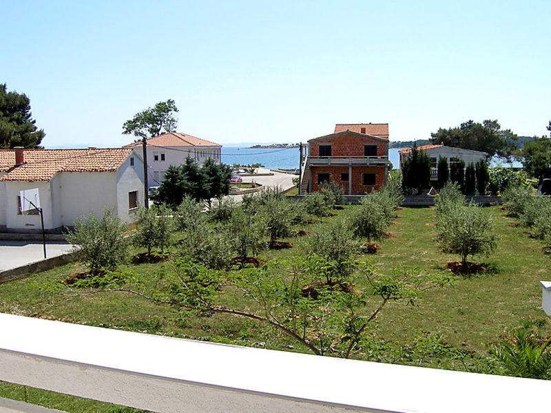 Dalmatino