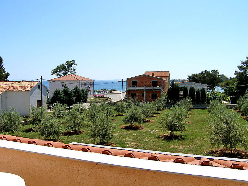 Dalmatino
