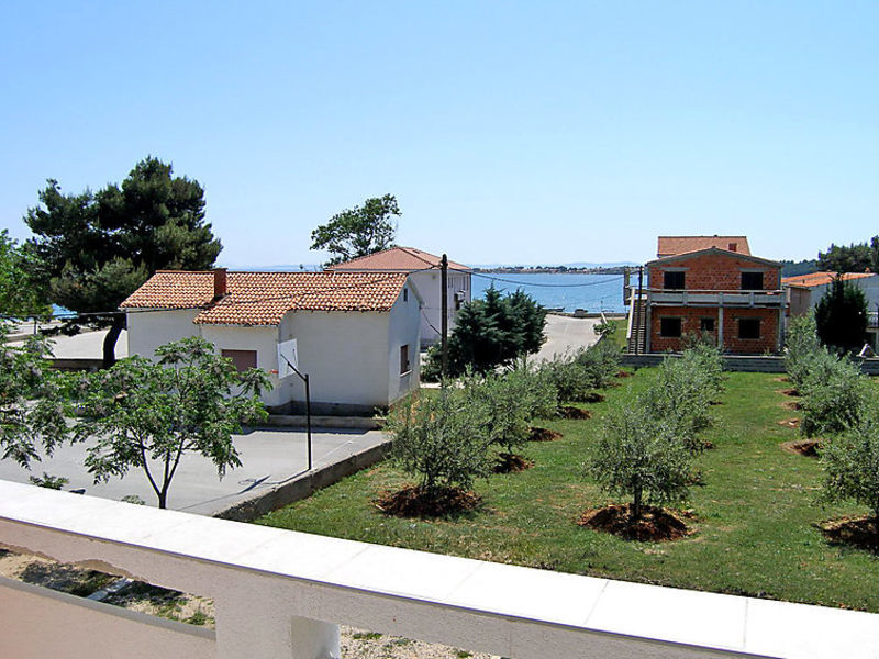Dalmatino