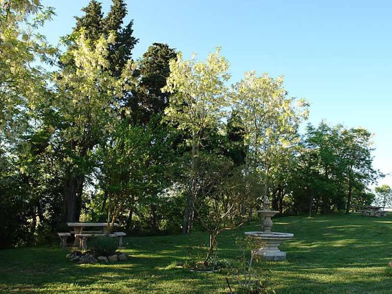 Casciaio