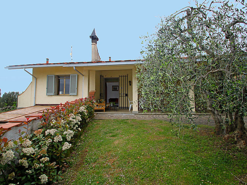 Olivo