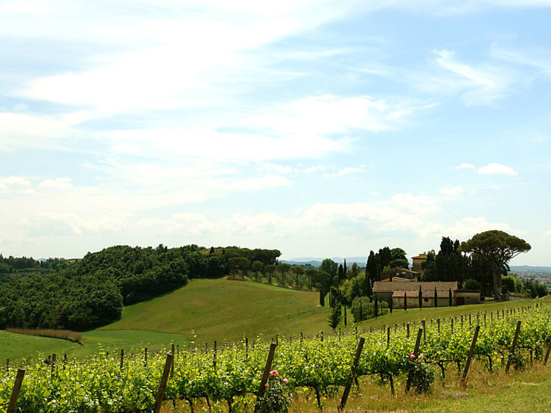 Il Turricchio