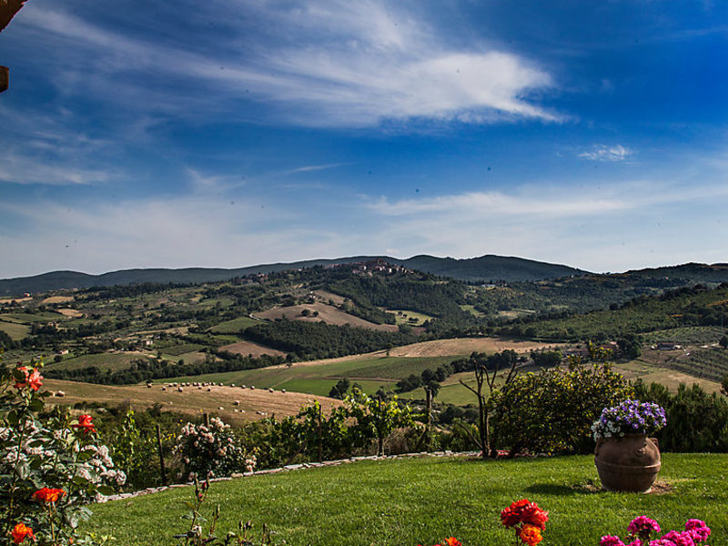 Allerona