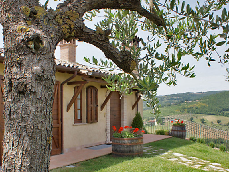 Allerona
