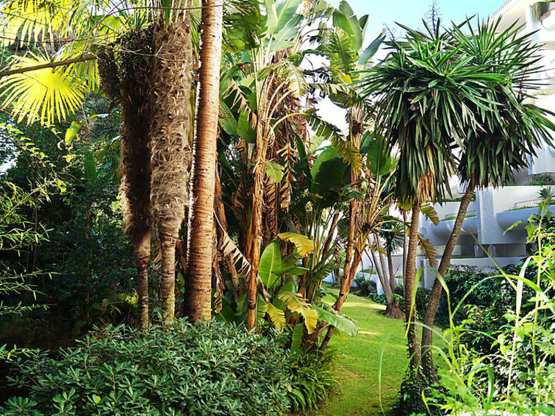 Jardines Del Mar