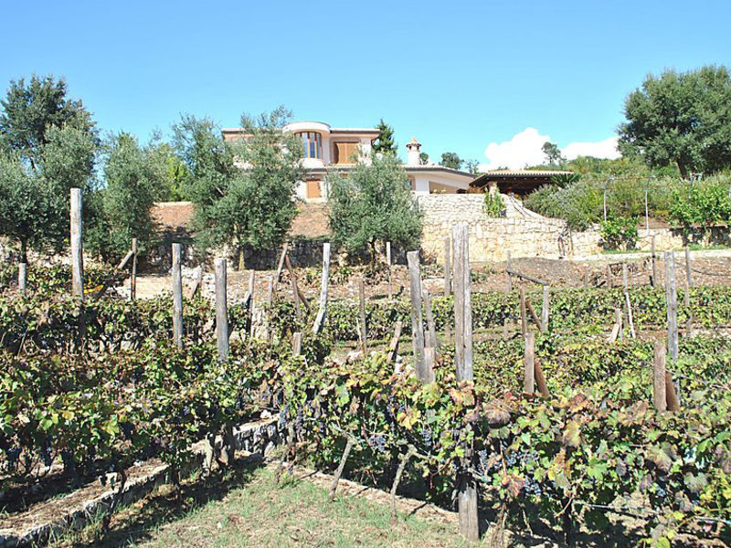 La Collina Delle Stelle