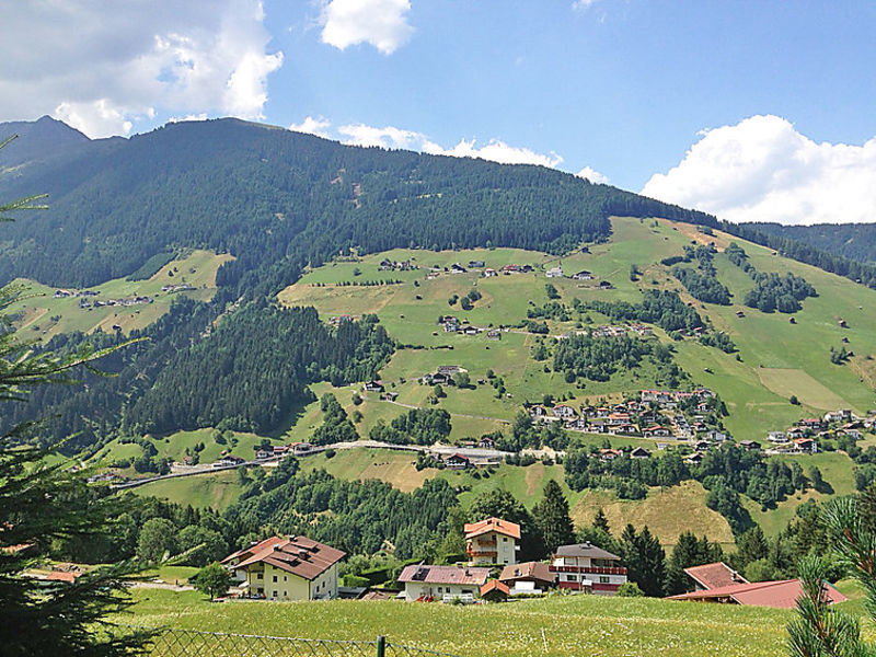 Haselwanter