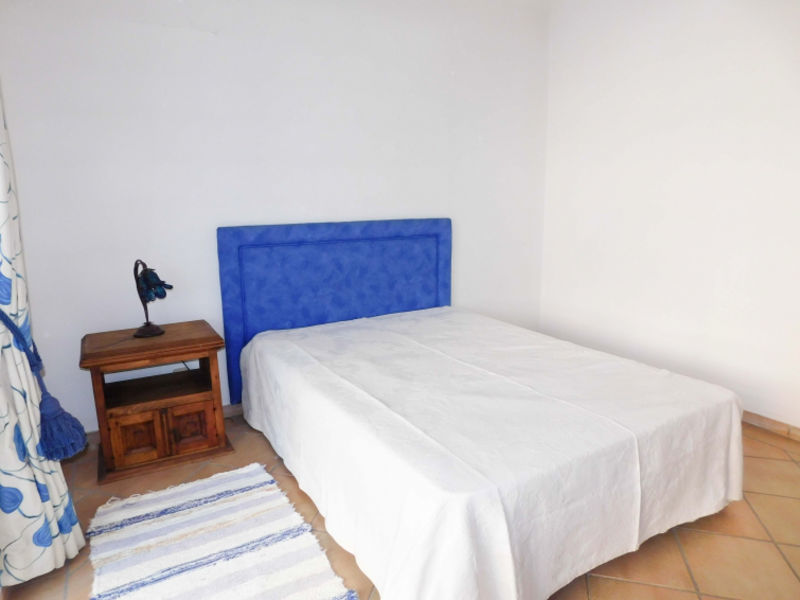 Palmeira 2