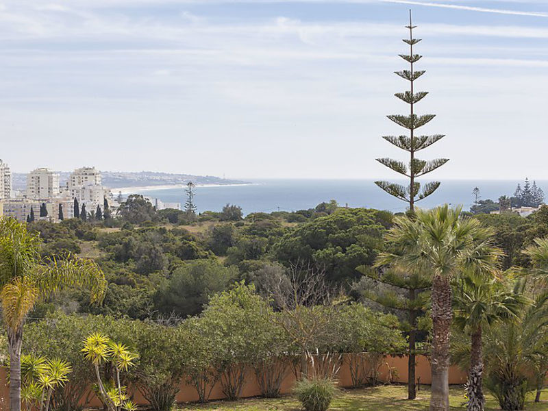 Monte Do Olival