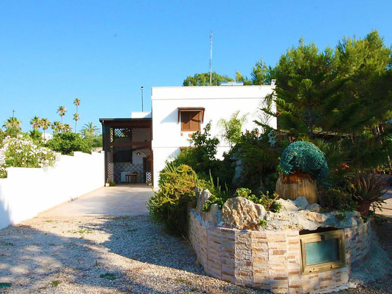 Cotriero Pineta Green House