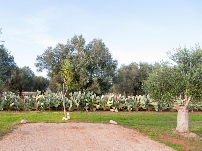 Villa Alessy