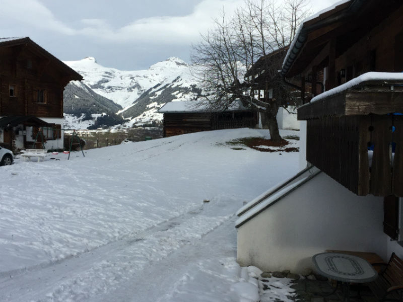 Ferienwohnung Alpakahof Riedi 1 Zarzana