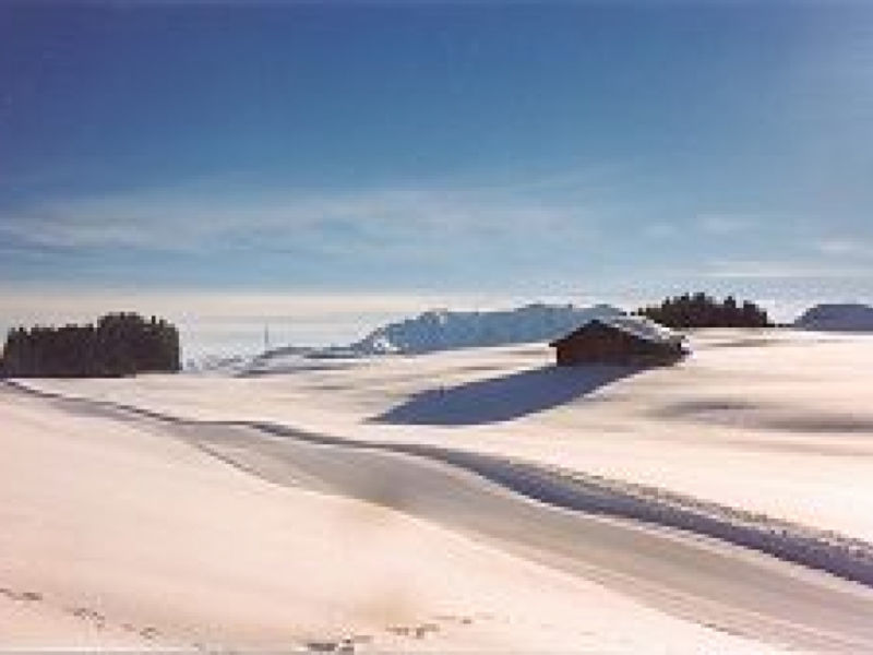 Maiensäss Plumarscha Friberg Brigels