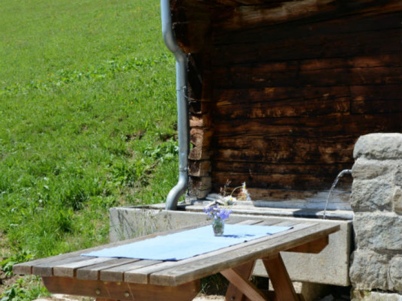 Maiensäss Plumarscha Friberg Brigels
