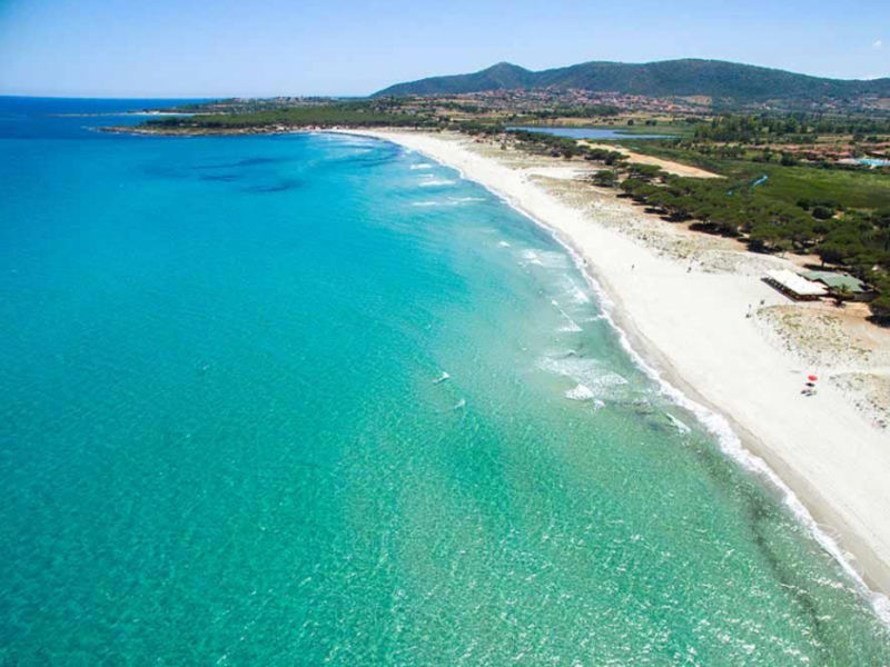 Bilo Tamarispa