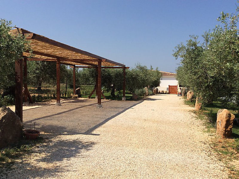 Appart. All'Interno Di Un Ulivetto