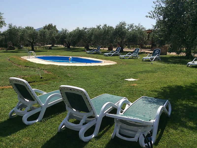 Appart. All'Interno Di Un Ulivetto
