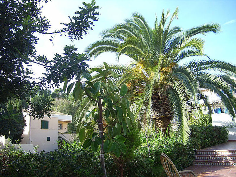 Bungallow
