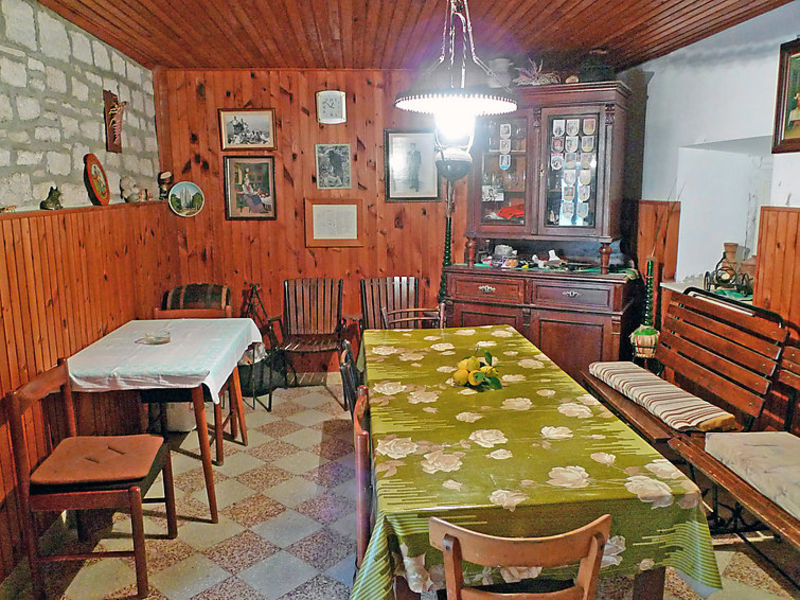 Dalmatino