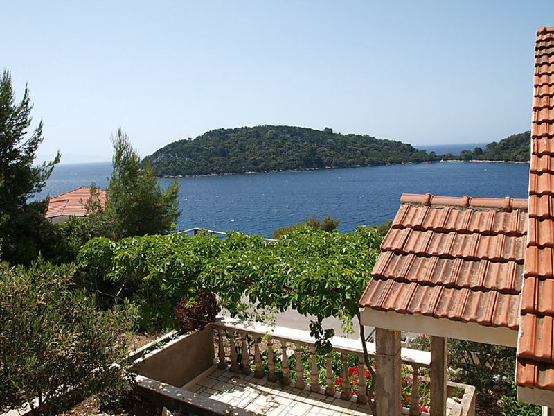Apartmani Anić