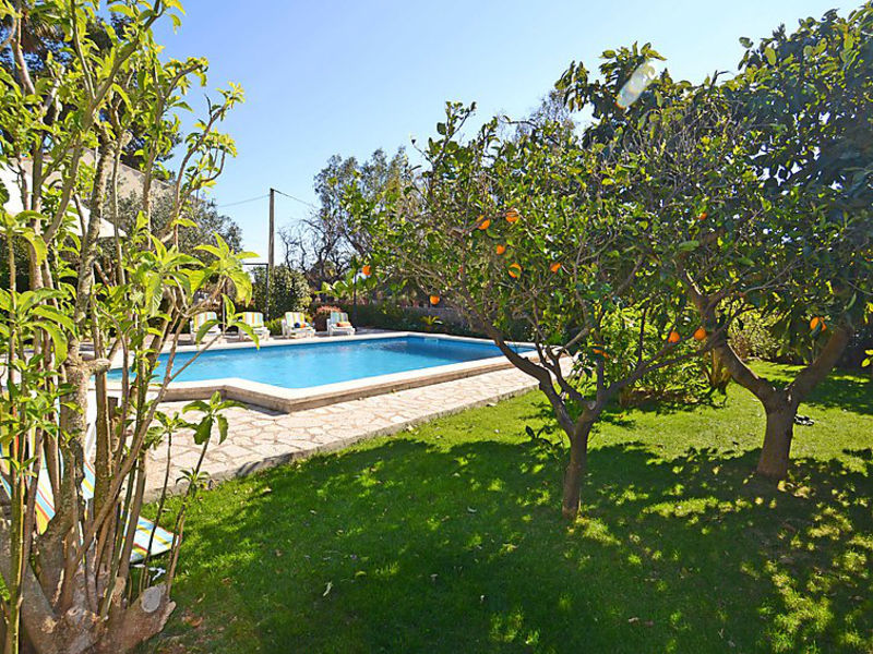 Cuxach D´En Joan