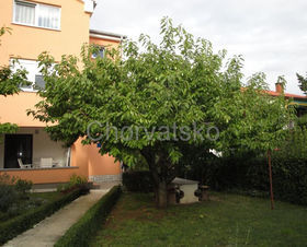 Apartmány Vladimira