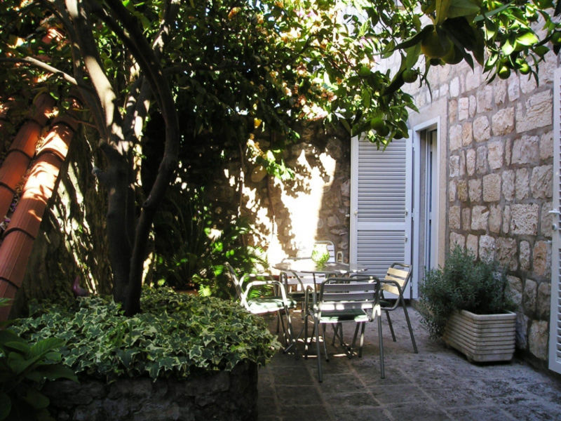 House Magnolia