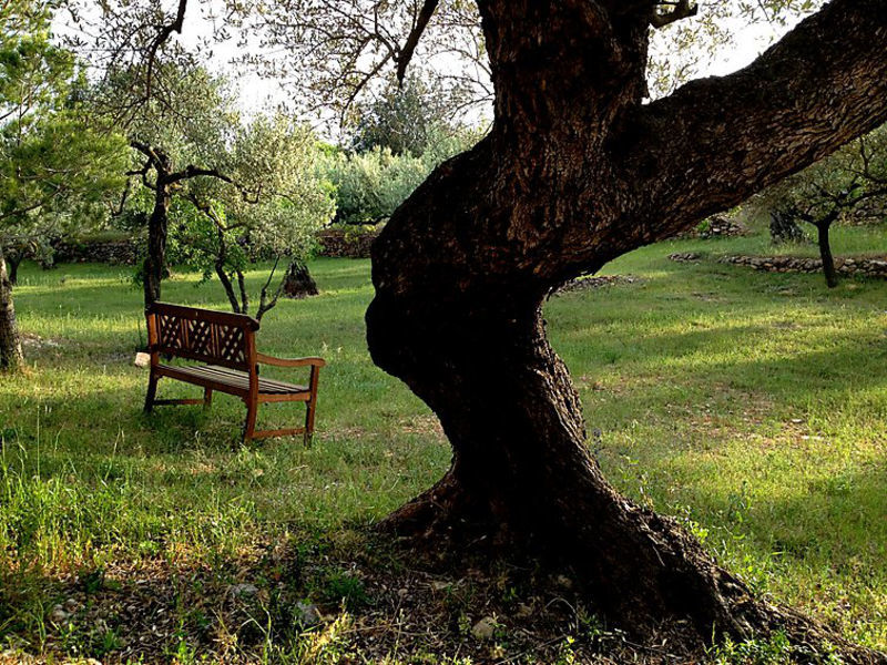 Villa Feliche
