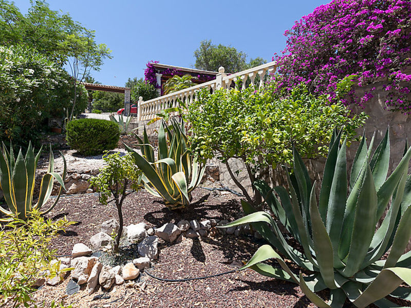 Casa Mariposa