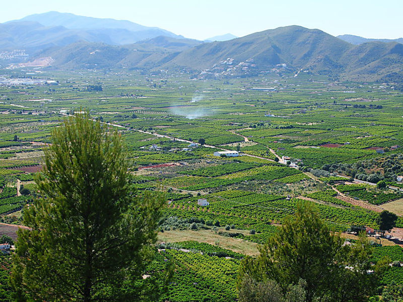 Grand Lusianna