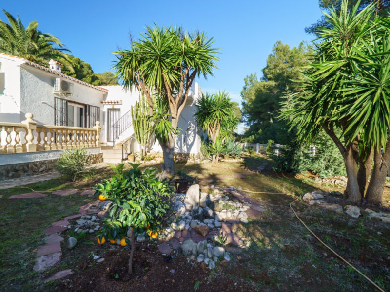El Palmeral