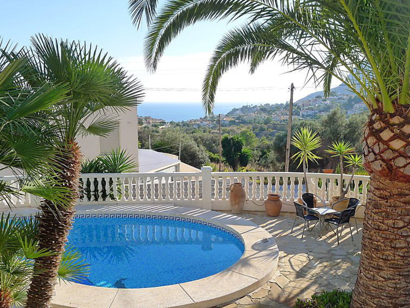 Palmera