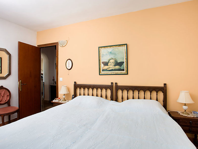 Palmera