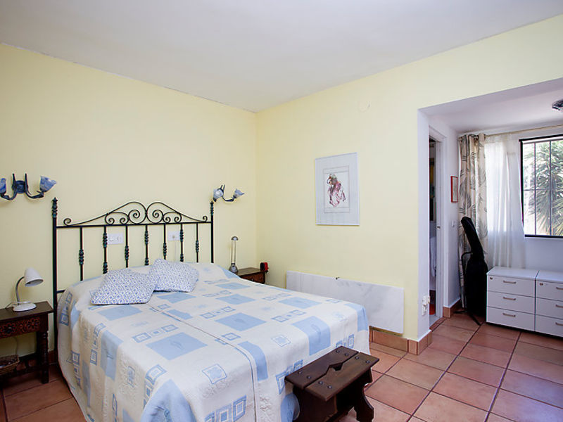 Palmera
