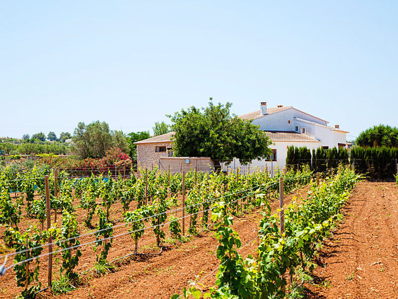 L'Alberca