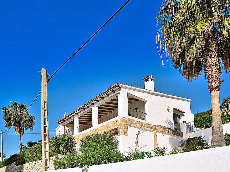 El Olivo