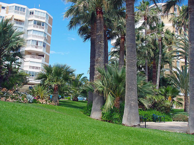 Apartamento Vista Mar 2 Dormitorios