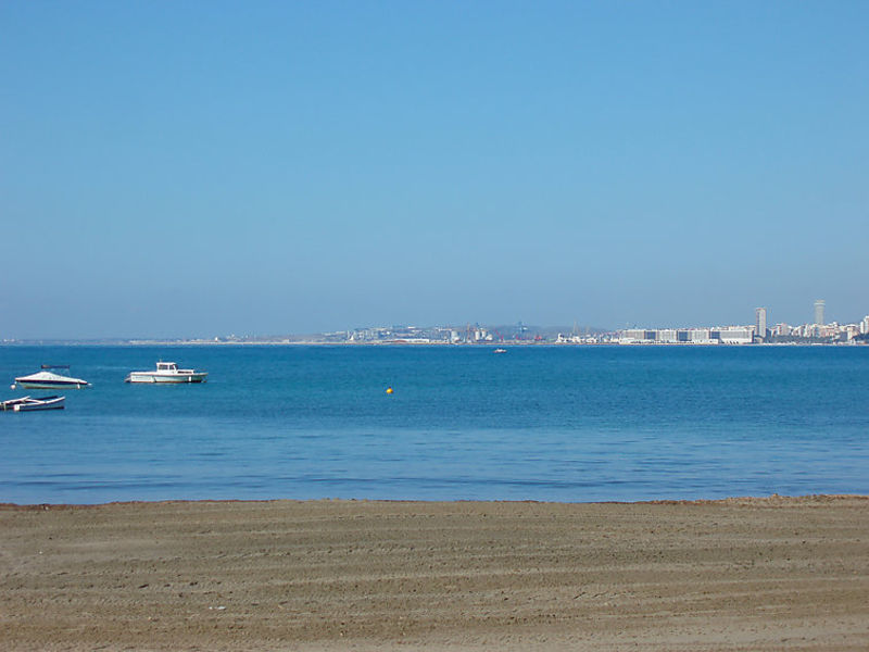 Mediterranean Stare