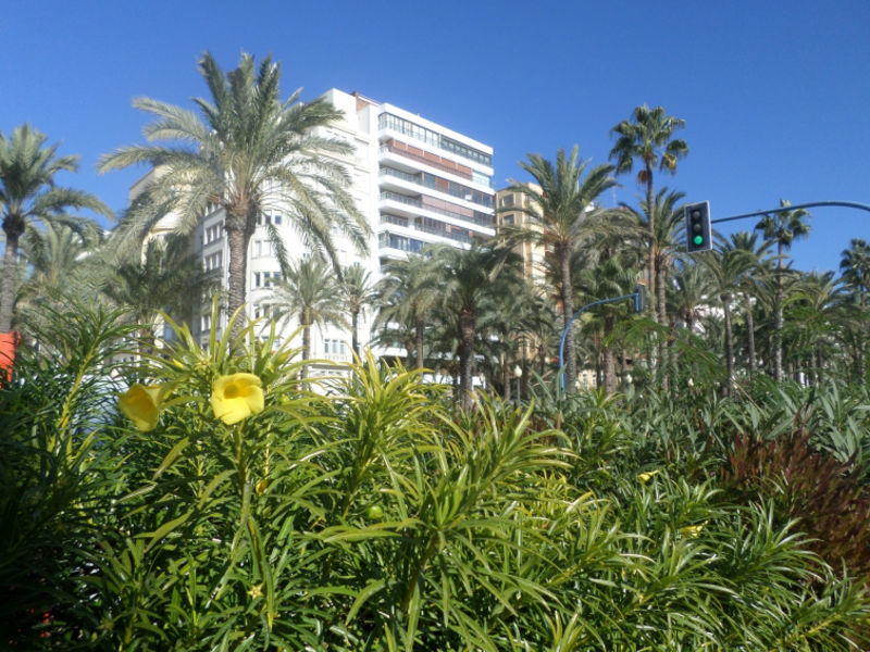 Explanada Airy Flat