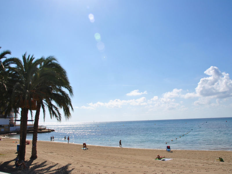 Absolute Beachfront