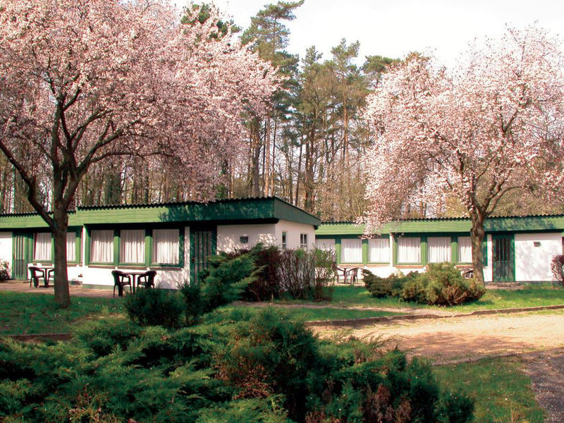 Ferienhäuser Forsthaus Damerow