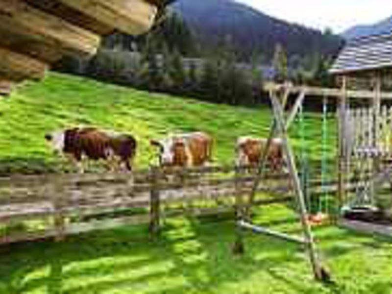Appartementhaus Wieslbauer
